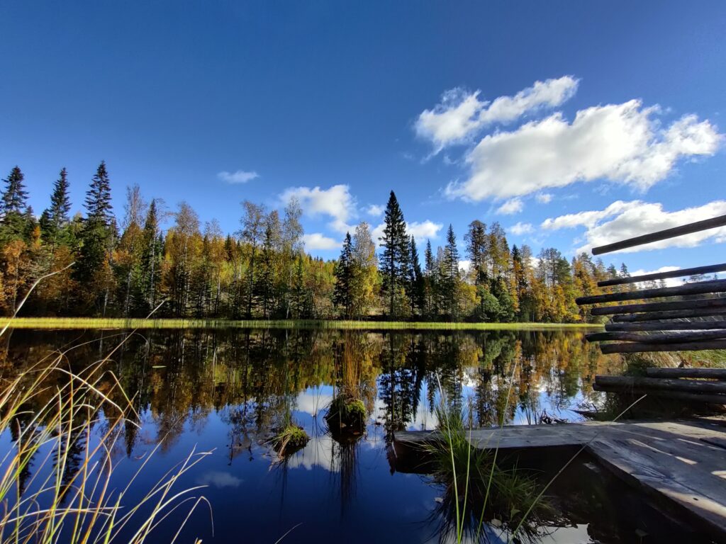 Vastarannalla oleva metsä ja sininen taivas heijastuvat tyynen järven pintaan.