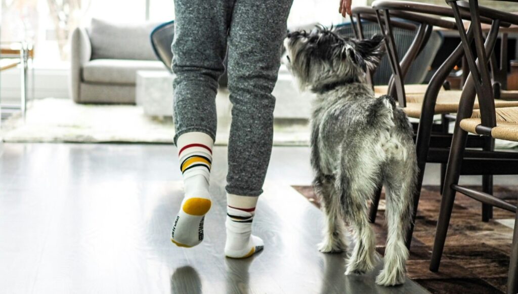 Ihminen kävelee sisällä verkkareissa. Koira kulkee hänen rinnallaan.